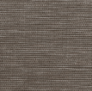Black Olive
